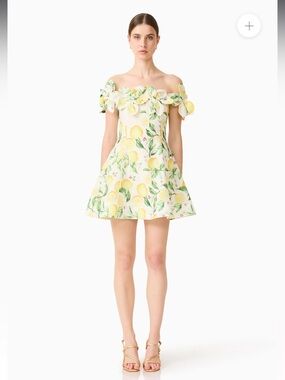 elliatt selene short-sleeve v-neck 3d floral lace mini dress Elliatt Selene Short-Sleeve 3D Floral Lace Mini Skirt Set at MarketFair Shoppes in Princeton, NJ
